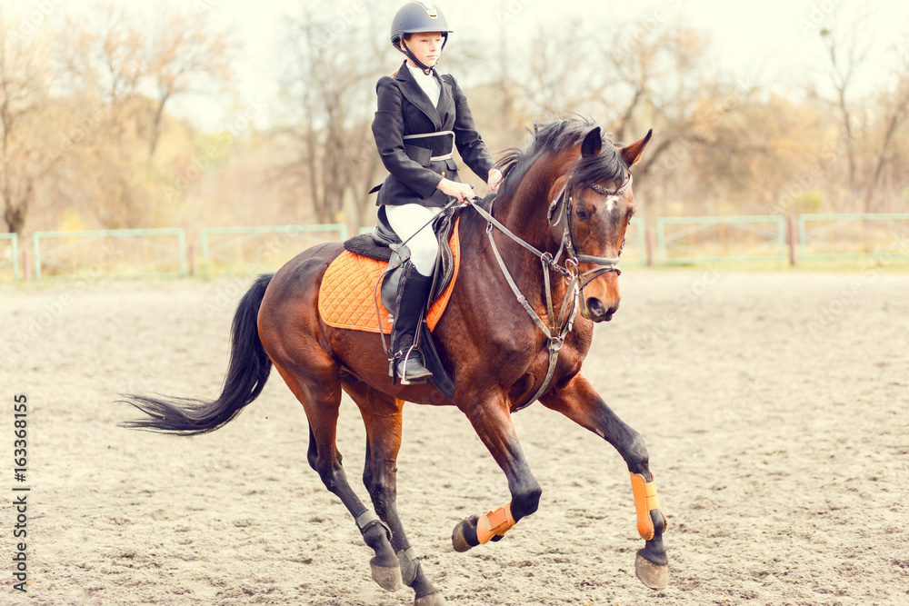 Young teenage rider girl on bay horse before jumping on show jumping competition Young teenage rider girl on bay horse before jumping on show jumping competition
