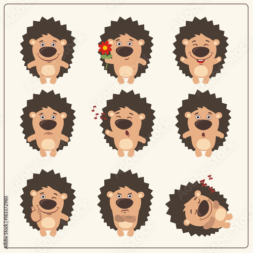 Funny hedgehog set in different poses. Collection isolated hedgehog in cartoon style.