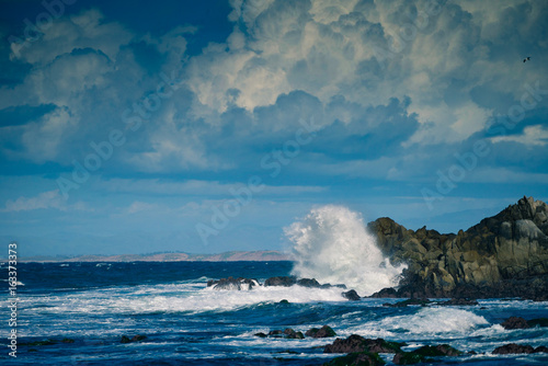 Asilomar State Beach