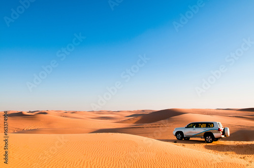 Desert trip, desert safari