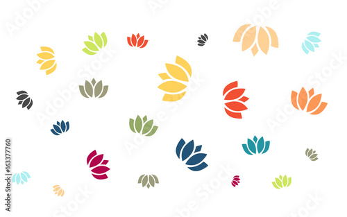 Viele bunte Blüten - Seerosen