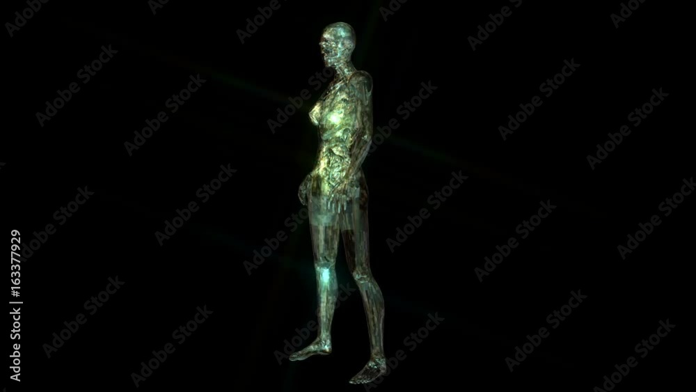 Digital 3D Animation of the human Anatomy Digital 3D Animation of the human Anatomy