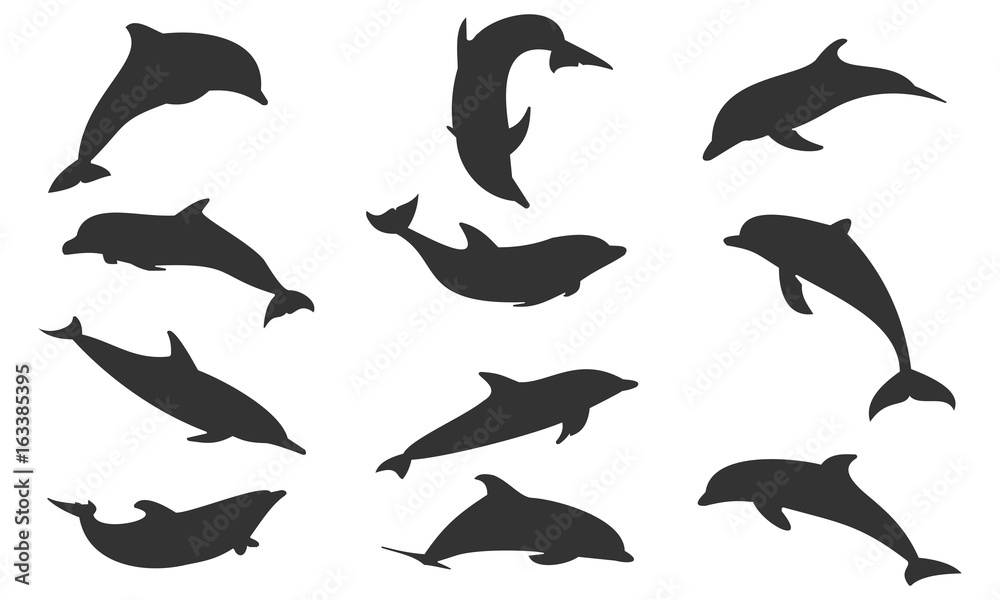 Naklejka premium Zestaw sylwetka delfinów