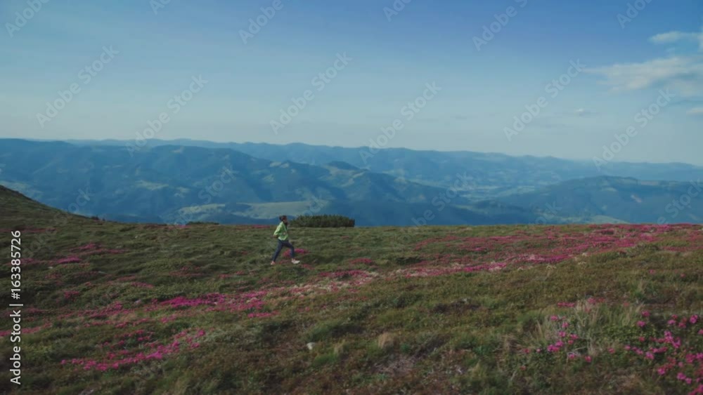 Beautiful young female hiker wanders alone in the mountains. Hills covered with pink mountain flowers. Stunning mountains on the background. Joy of life, extreme lifestyle. Eco tourism. Beautiful young female hiker wanders alone in the mountains. Hills covered with pink mountain flowers. Stunning mountains on the background. Joy of life, extreme lifestyle. Eco tourism.