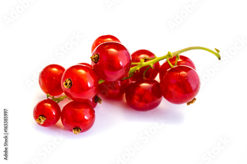 Rot Rote Johannisbeere Johannisbeeren isoliert freigestellt auf weißen Hintergrund, Freisteller