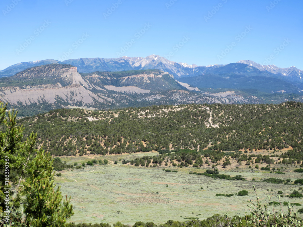 Meadow in Horse Gulch in Durango, Colorado