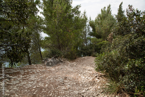 Sentiero, Parco Naturale del Conero 