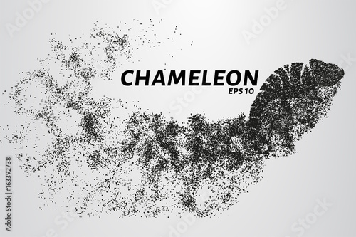 Chameleon particle. The silhouette of a chameleon is made up of little circles.