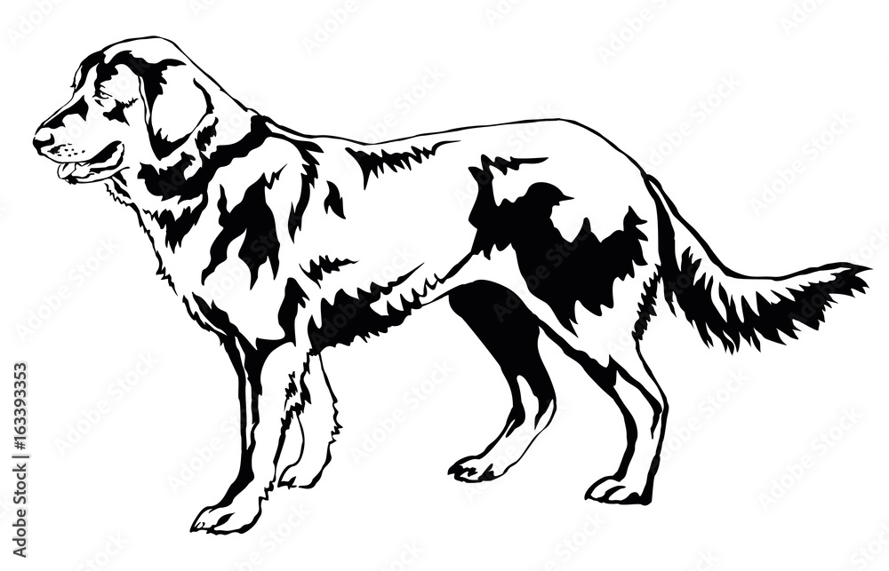 Decorative standing portrait of Dog (shepherd) vector illustration