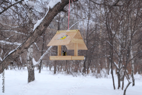 Bird winter feeding © lanych