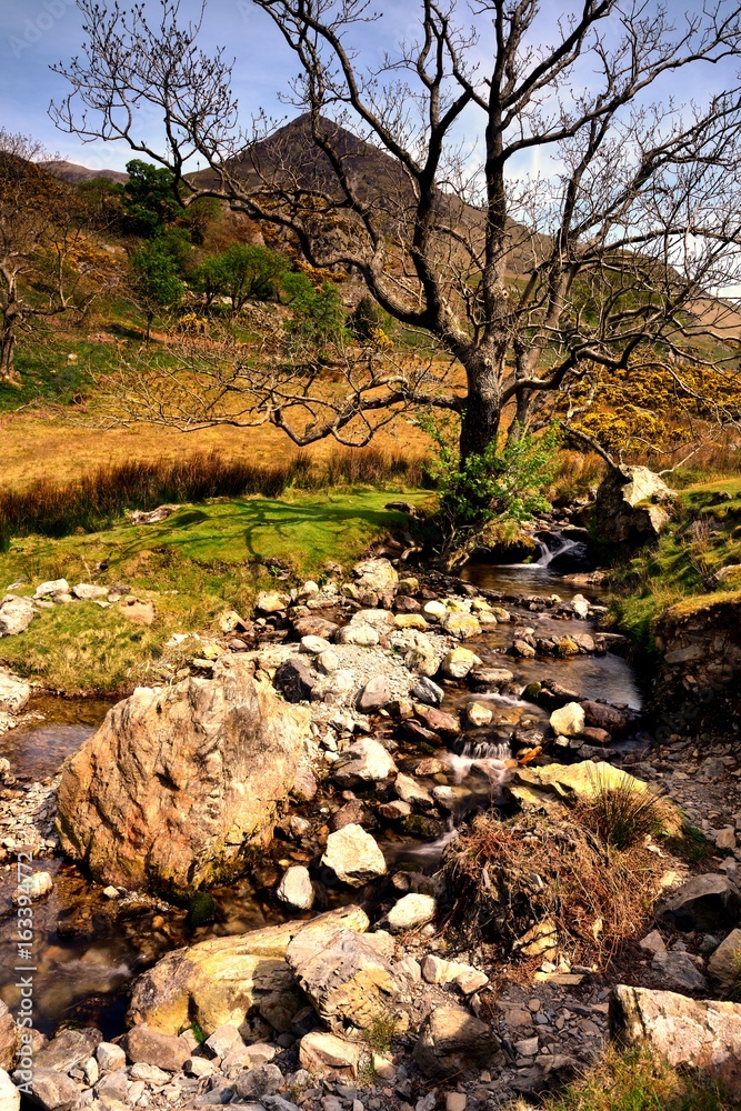 Rannerdale Knotts