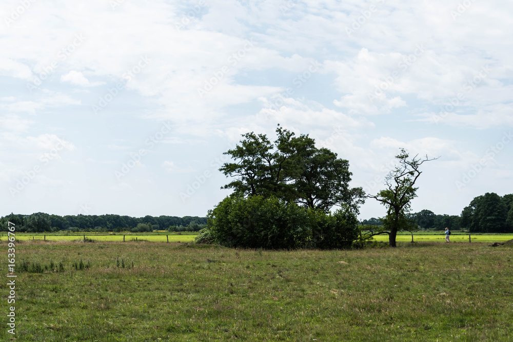 Fototapeta premium Route Pieterpad Hardenberg-Ommen