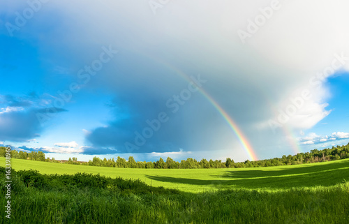 Colorful rainbow over the green field.