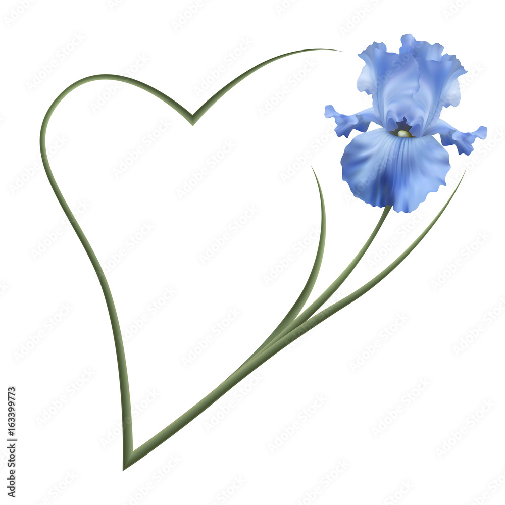 Изысканные цветы, голубые ирисы. Символ дружбы и верности. Романтичная рамка.