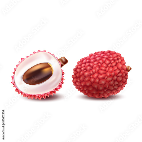 Vector illustration of a realistic style of litchy whole fruit and a cut litchi isolated on white. Print, template, design element for packaging with exotic fruit