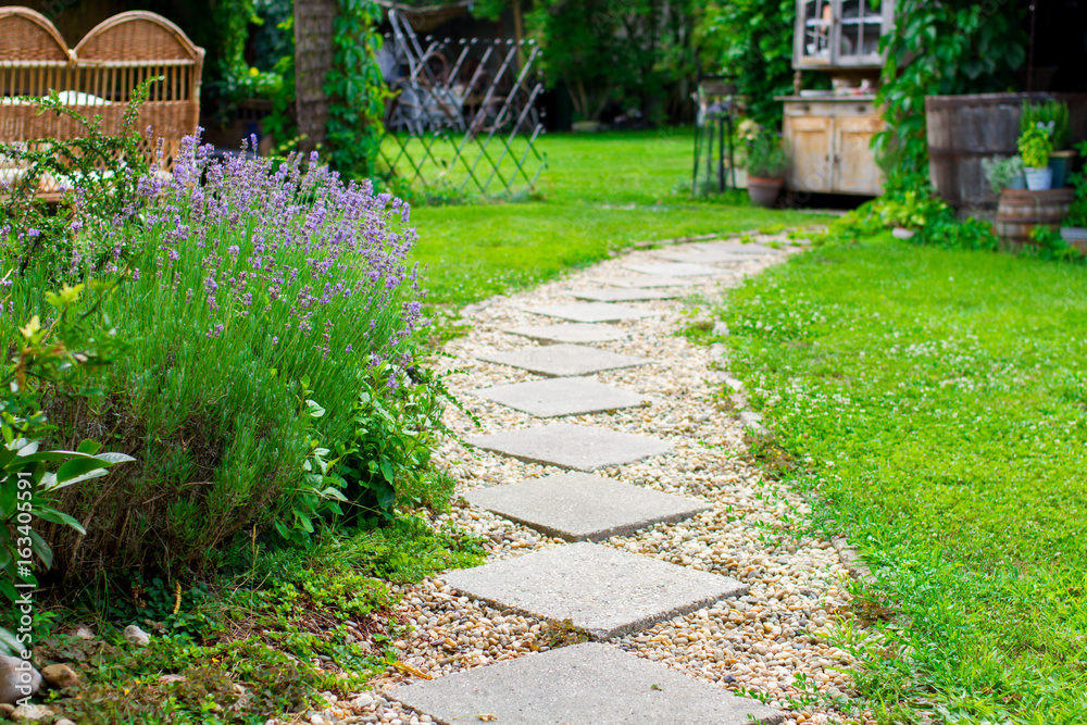 Naklejka premium kwiat lawendy w ogrodzie