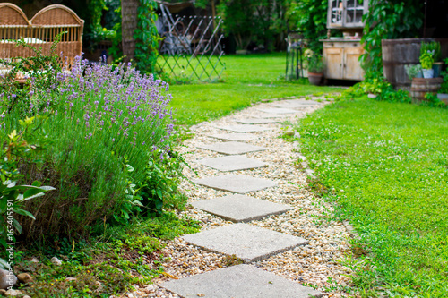 Fototapeta Naklejka Na Ścianę i Meble -  lavender flower in the garden