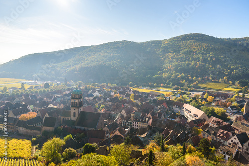 Chateau de Kaysersberg - historical village in wine region  vineyards in Alsace  France - Europe