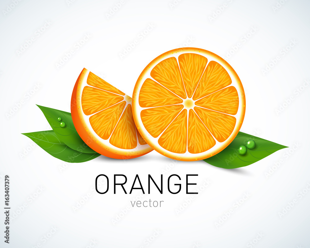 Orange slice with leaves isolated on white background. Vector illustration for decorative poster, emblem natural product, farmers market. Perfect for packaging design of cosmetics and food. Orange slice with leaves isolated on white background. Vector illustration for decorative poster, emblem natural product, farmers market. Perfect for packaging design of cosmetics and food.
