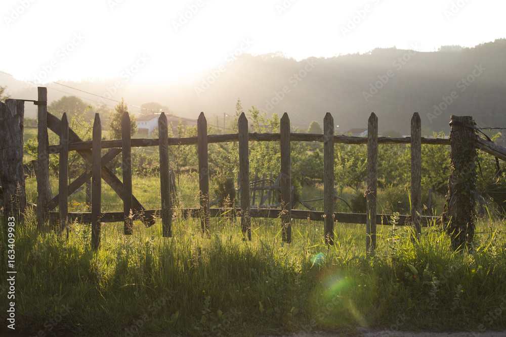 Wooden fence at sunset