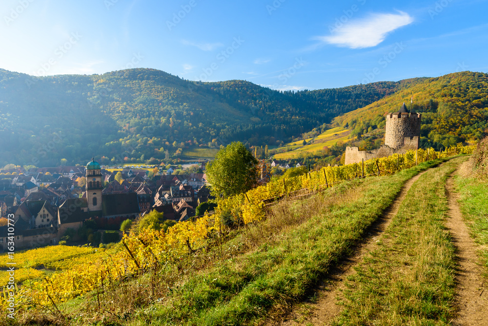 Chateau de Kaysersberg - historical village in wine region, vineyards in Alsace, France - Europe