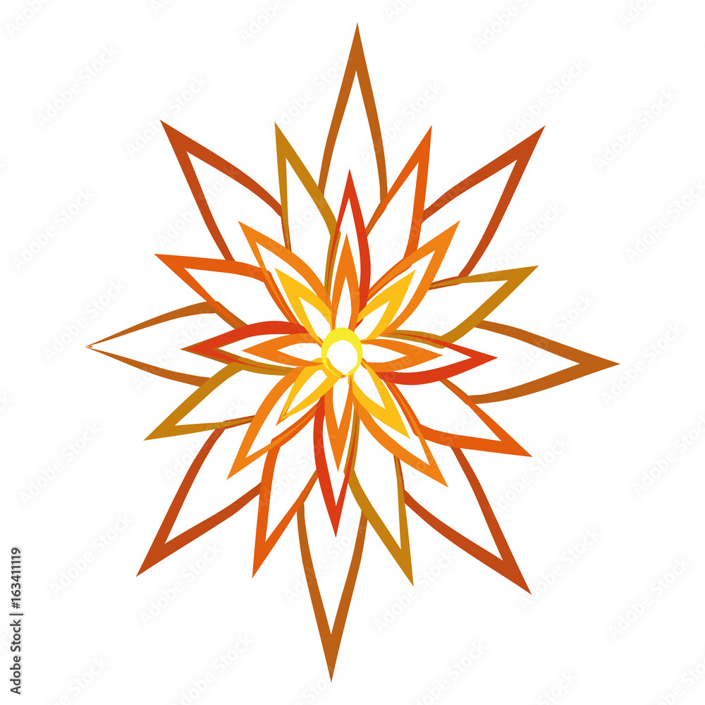 Isolated colored flower Isolated colored flower