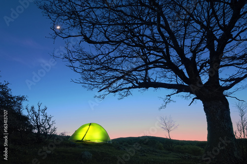 Glowing Tent Under Bare Tree, Sicily