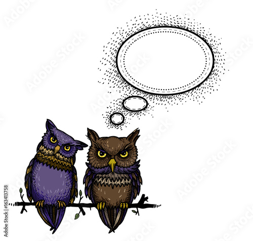 Cartoon image of cute owls. An artistic freehand picture.