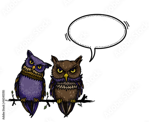 Cartoon image of cute owls. An artistic freehand picture. photo