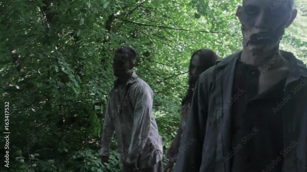 Zombies are walking through an abandoned village. Zombies are walking through an abandoned village.