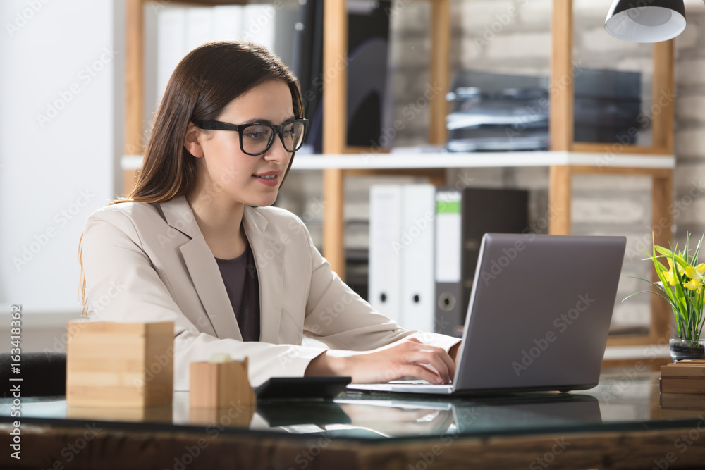 Portrait Of A Businesswoman Using Laptop Portrait Of A Businesswoman Using Laptop