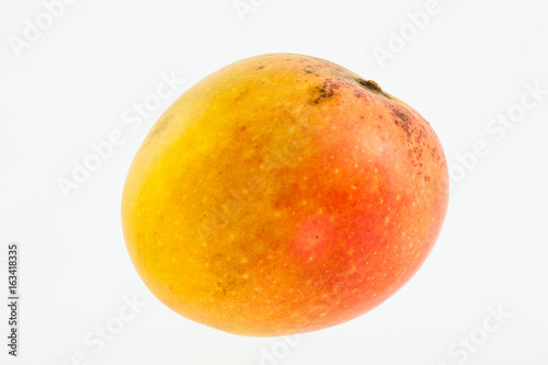 Mango (Mangifera indica) isolated on white background