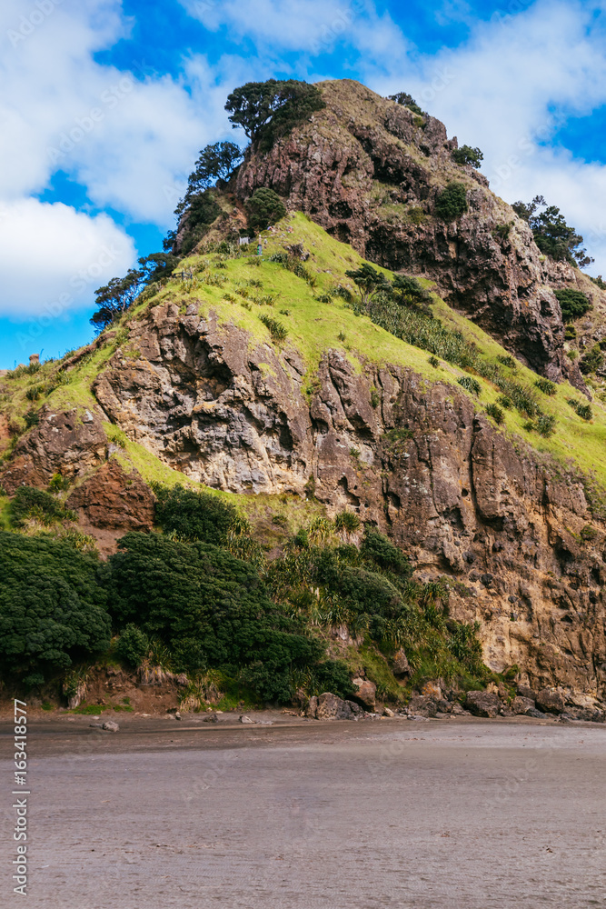 Lion Rock, Piha Beach, New Zealand