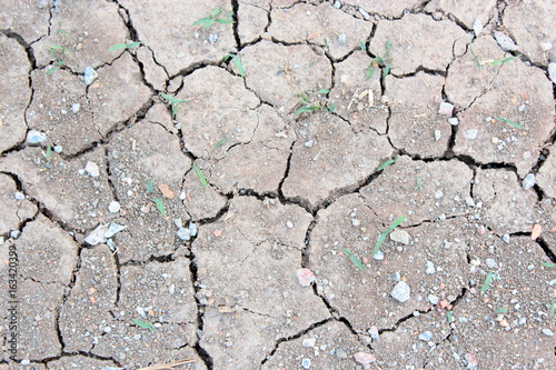 Dry and cracked earth background
