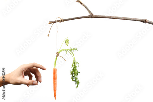 Hand reaching out to carrot tied to stick
