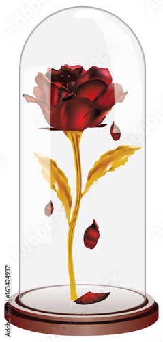 Falling petals red rose