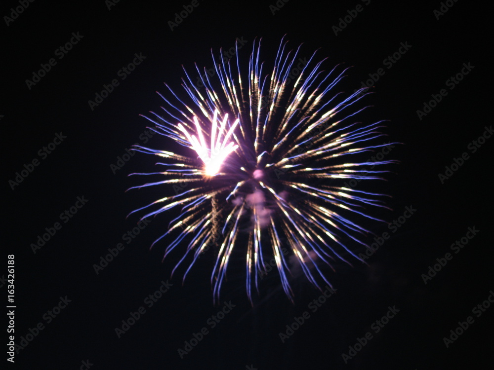 Two tone firework