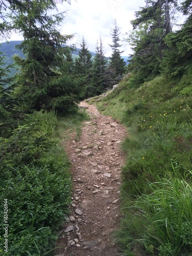 path in the mountains 