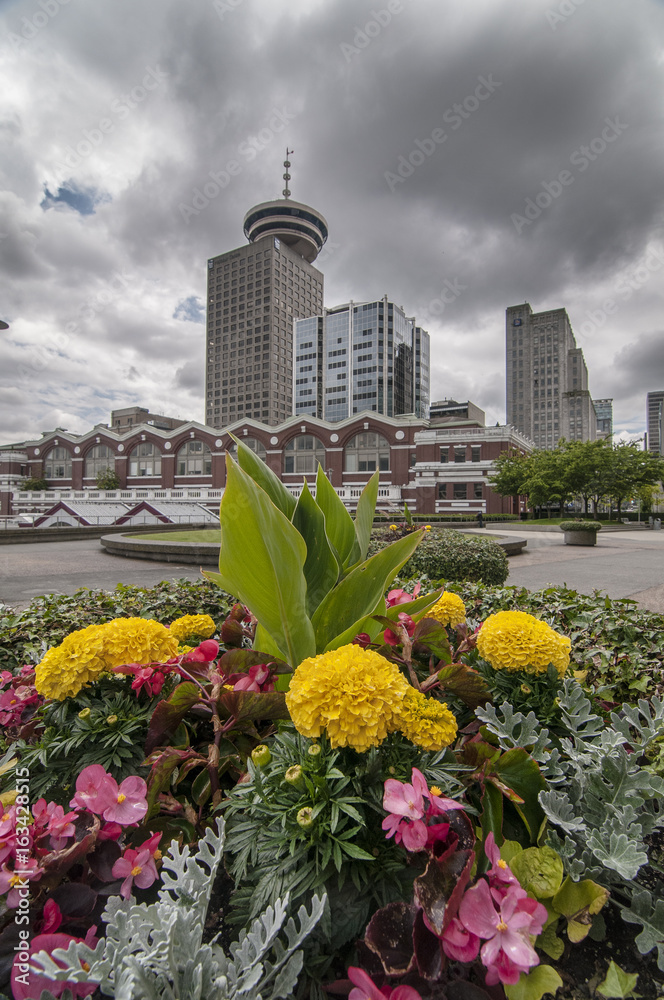 Fototapeta premium Vancouver British Columbia. Canada