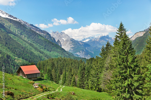  houses with red roofs in the Swiss Alps © lom742