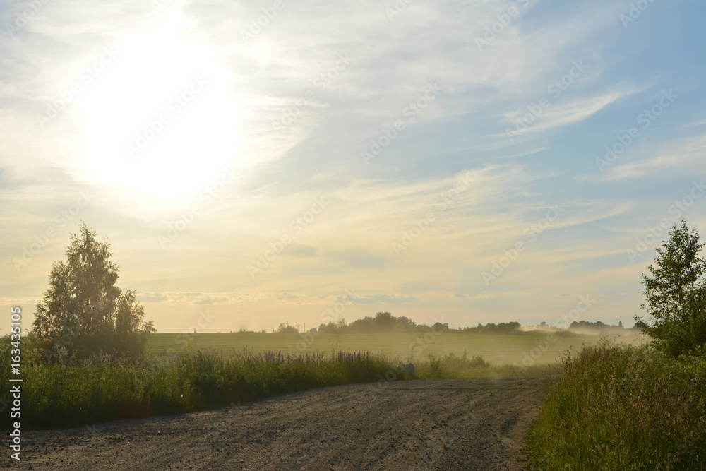 Beautiful summer evening landscape: dust over a rural road and the sun sets, nature, countryside