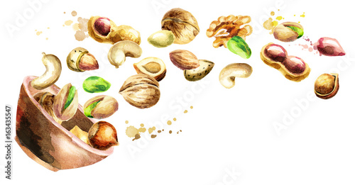 Bowl with mix of nuts. Hand-drawn horizontal watercolor illustration