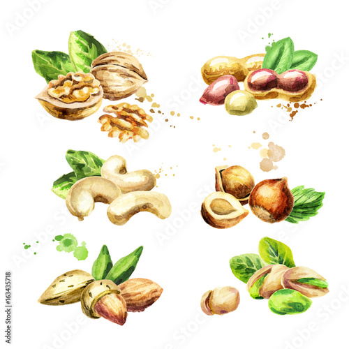 Nuts set. Watercolor hand-drawn illustration