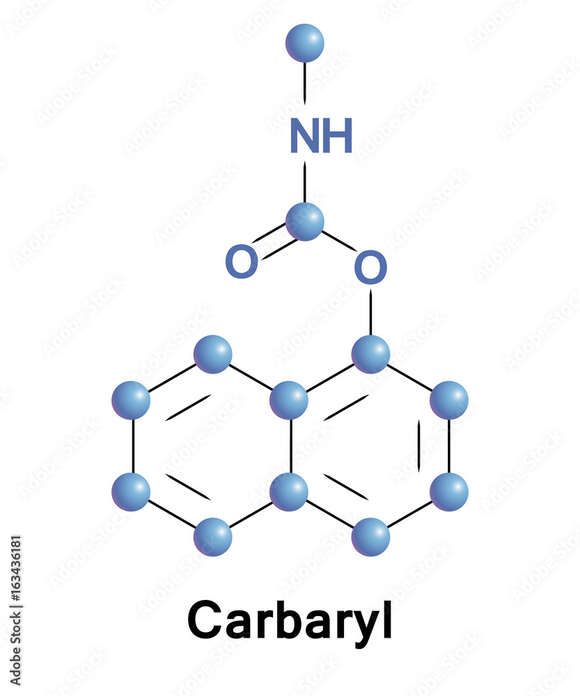 Carbaryl is a chemical in the carbamates Carbaryl is a chemical in the carbamates