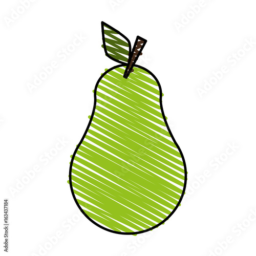 pear doodle over white background vector illustration