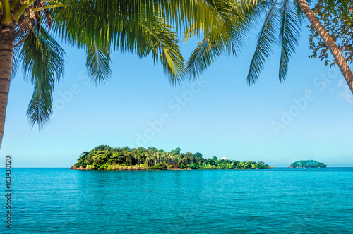 Green island in the Ocean with Two coconut palms tree frame