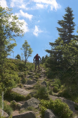 Hiker in the Vosges mountains in France