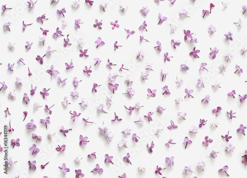 Romantic floral pattern made of lilac petals isolated on white background. Flat lay  top view.