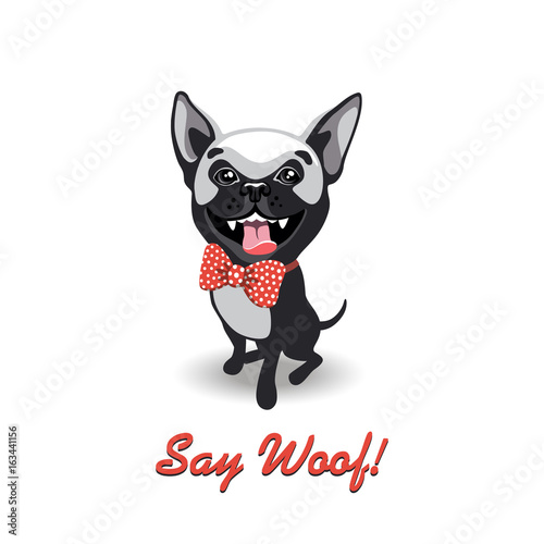 funny dog