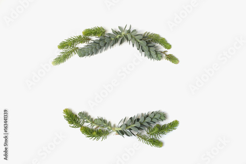 Beauty minimalistic frame wreath with green and blue succulent plants. Flat lay, top view.
